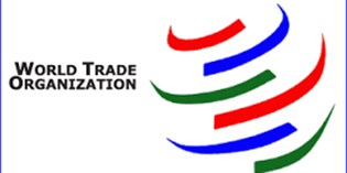 WTO images 2